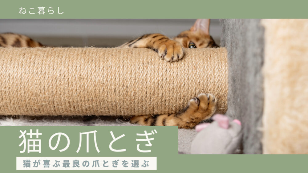 猫の爪とぎアイキャッチ画像